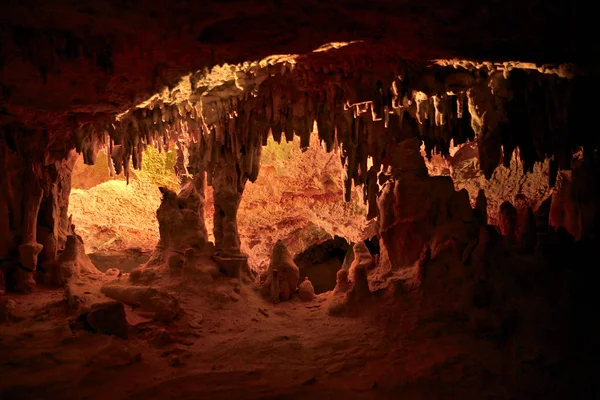 El día en la caverna del cuco