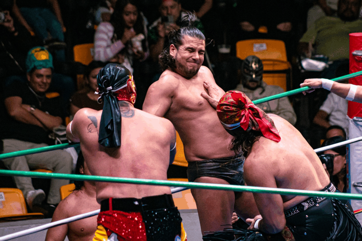 Galería completa de "Héroes del Ring"