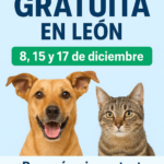Esterilización gratuita en León: fechas, sedes y requisitos